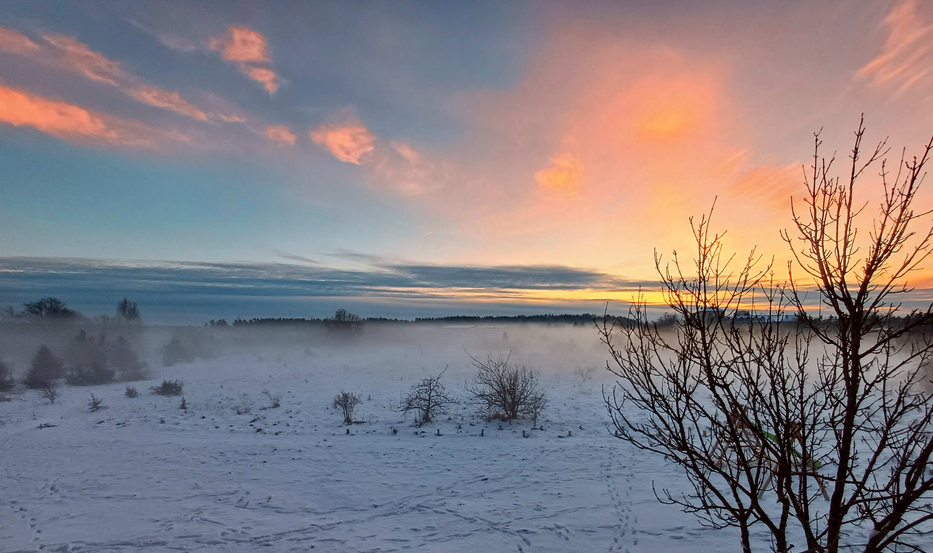 Õpetajaameti asemel võiks Eliise olla ka fotograaf! / Eliise Belinets