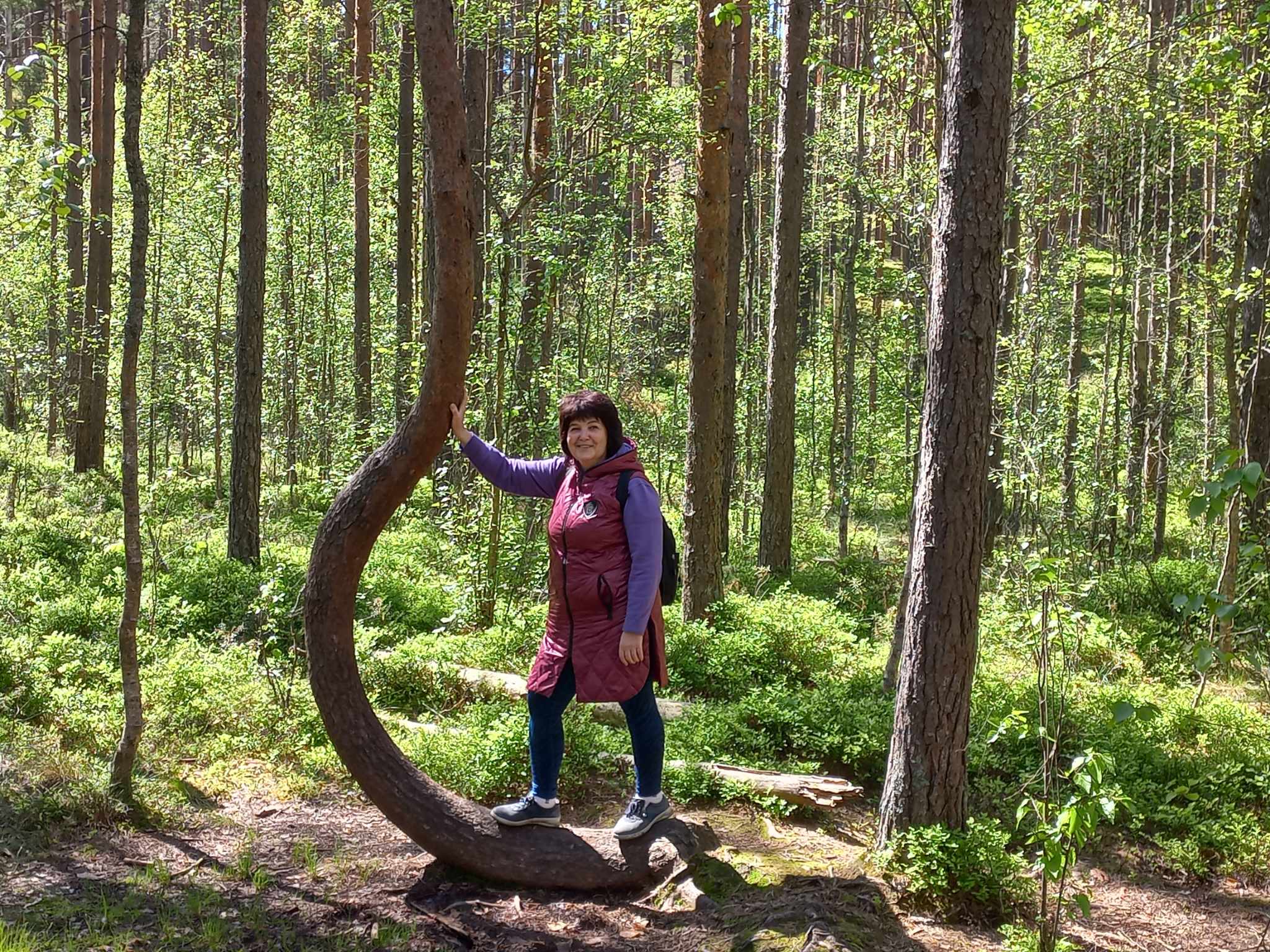 Kevadlaagris nagu Türgi saunas / Grete Pihl