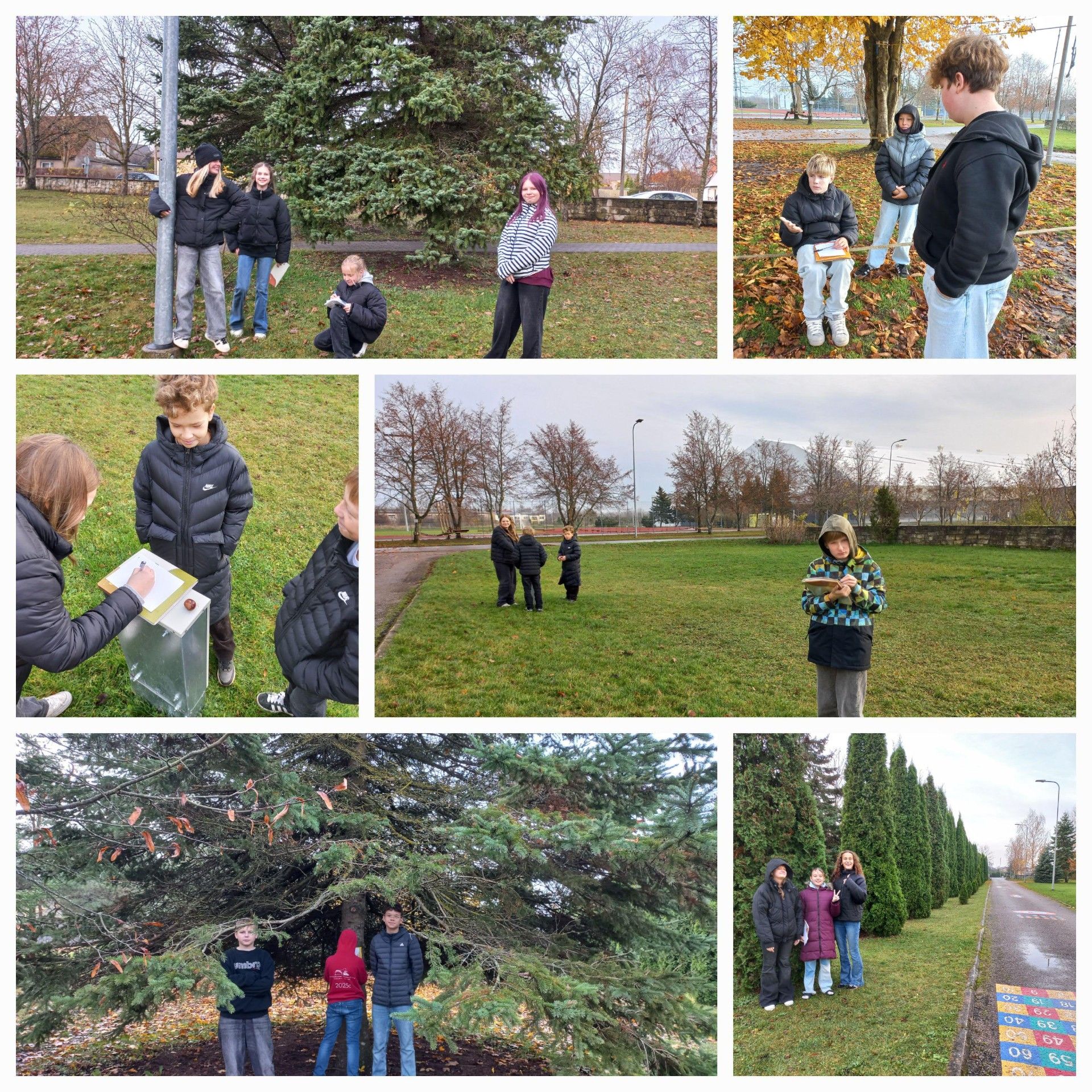 6.c klass haikusid loomas / Grete Pihl 6.c klass haikusid loomas / Grete Pihl