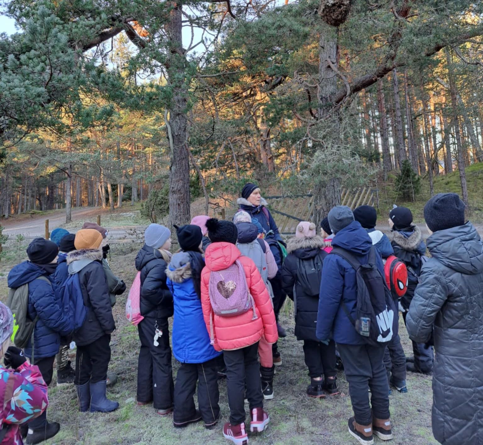 Jõulupuu lugu Mändjalas / Merle Tustit