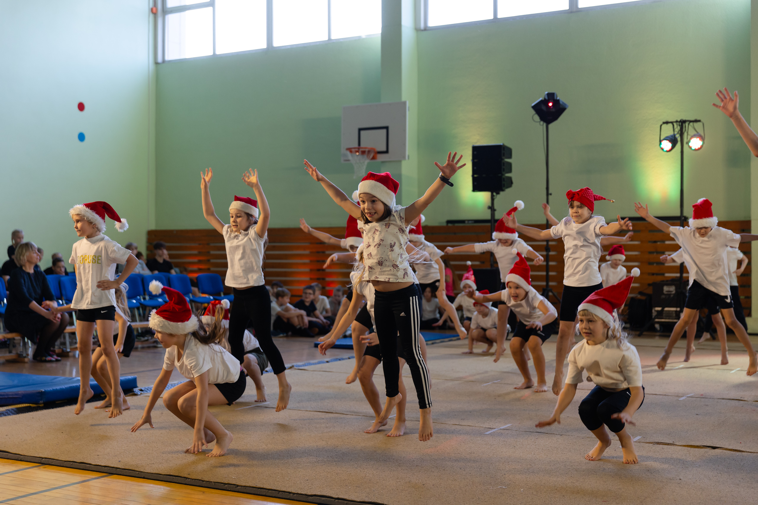 Esinemise rõõm / Gert Lutter Esinemise rõõm / Gert Lutter