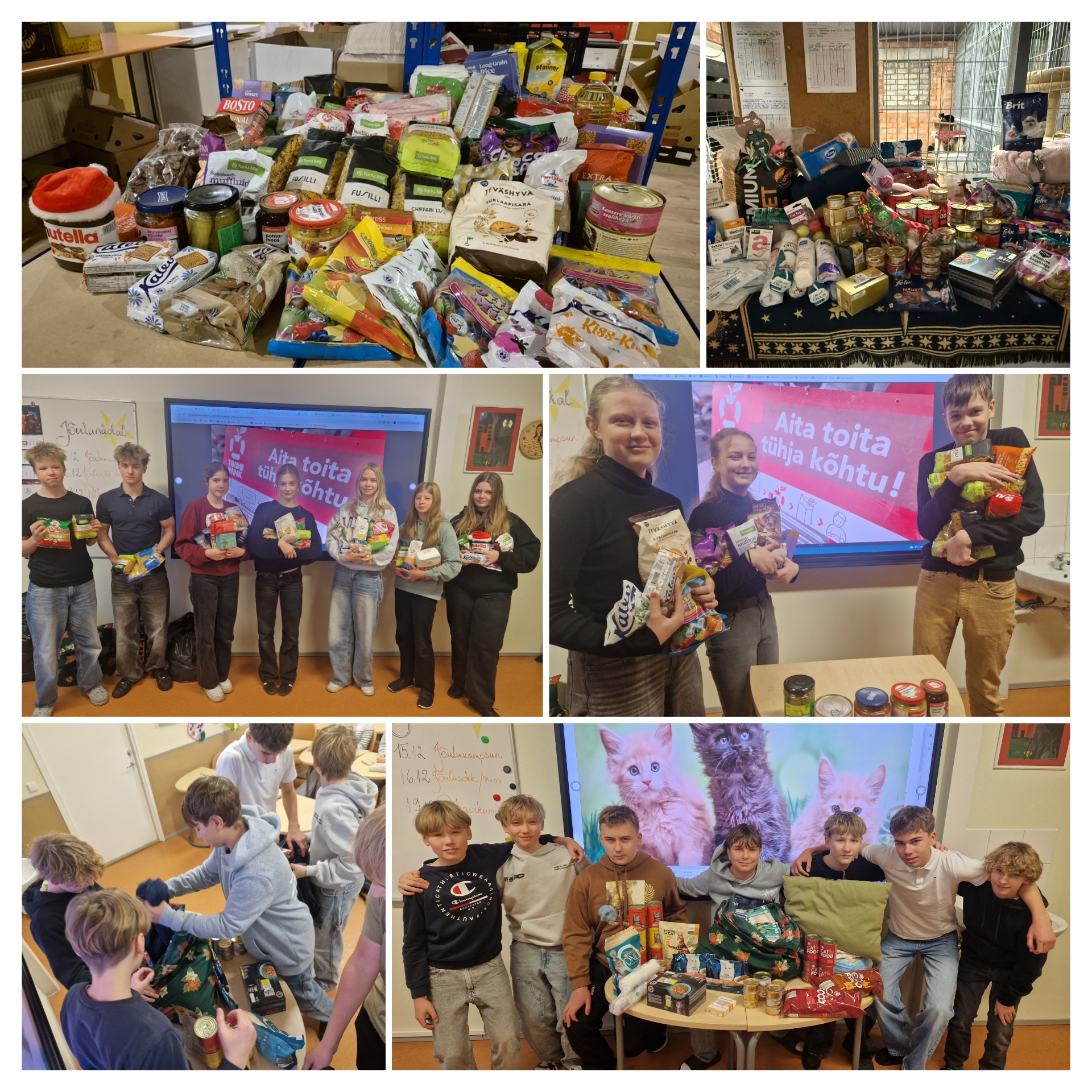 Väikestest tegudest sünnib suurem headus! / Kristel Paju