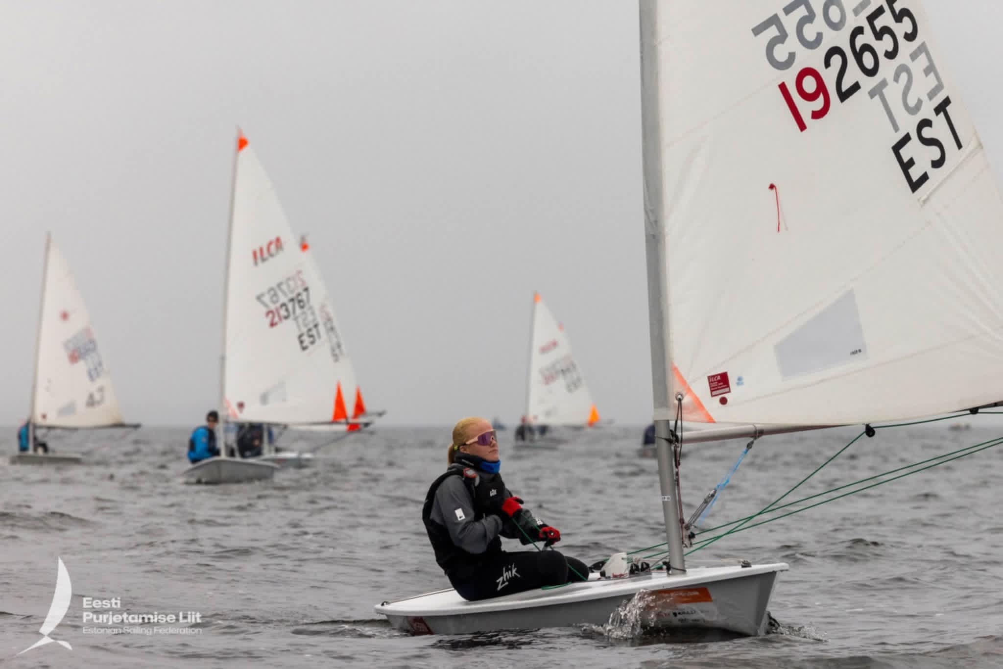 Eleanori stiihia / erakogu