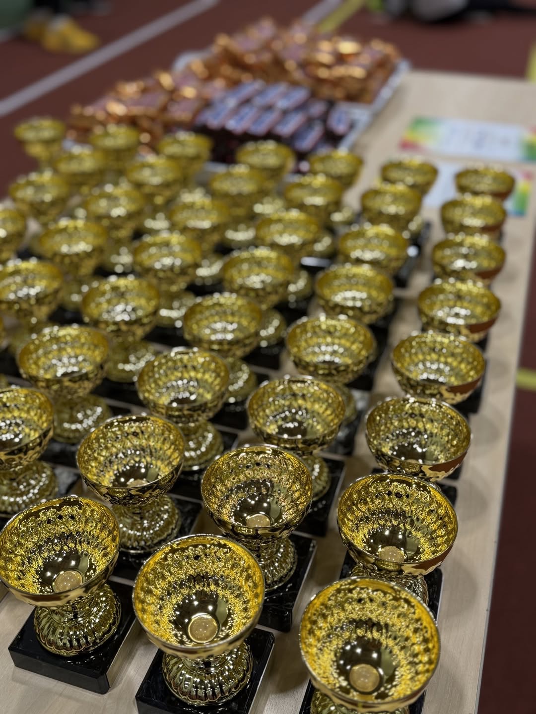 Häid tulemusi maakonna D-vanuseklassi sisekergejõustiku meistrivõistlustelt / erakogu