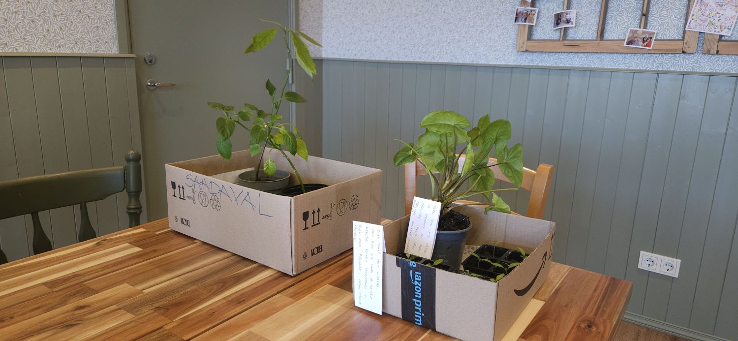 Päev, mis tõi rohelust ja rõõmu / Kärt Keert