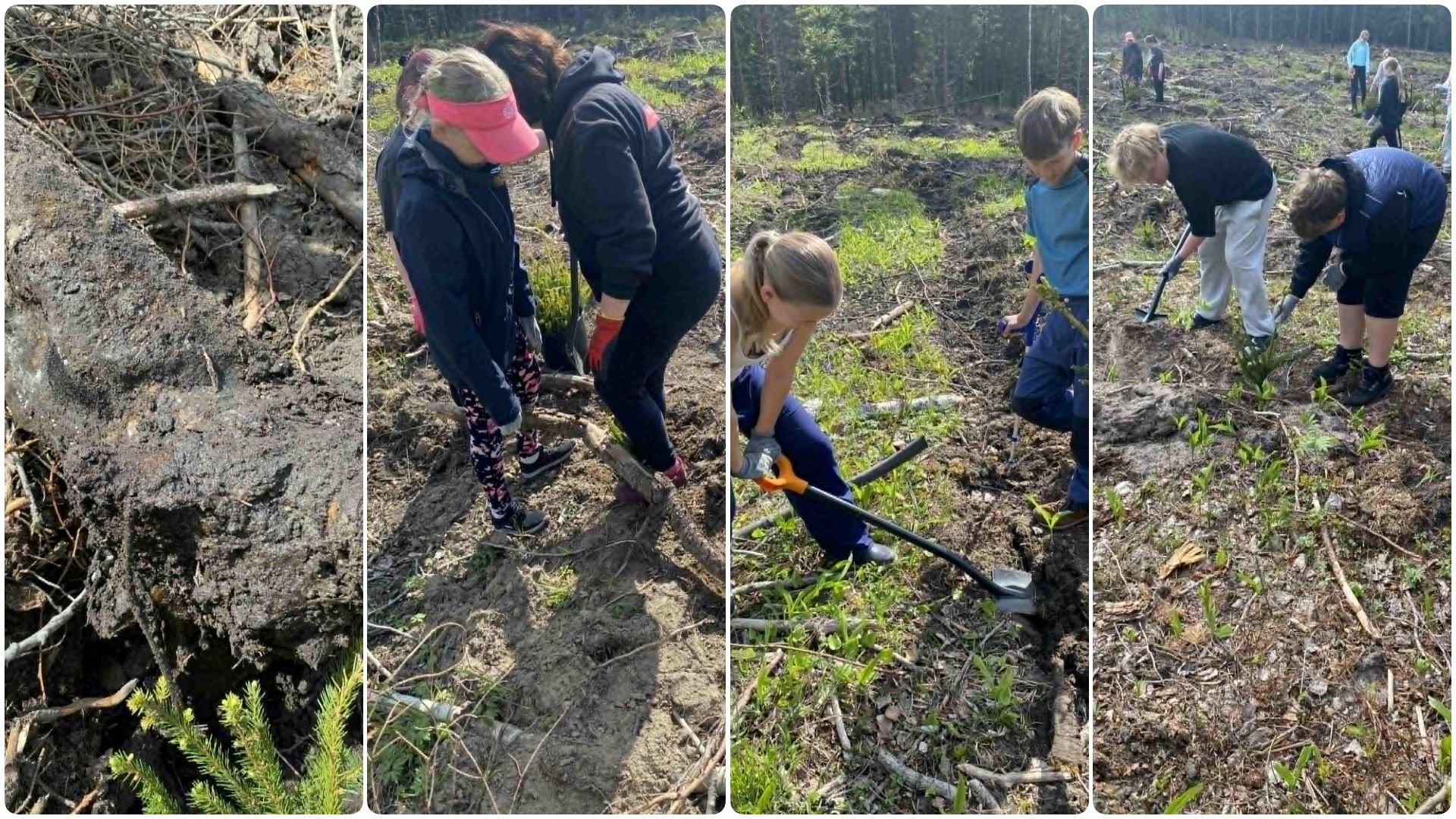 Nooruse koolist osales RMK metsapäeval neli klassi. / Reet Lasn