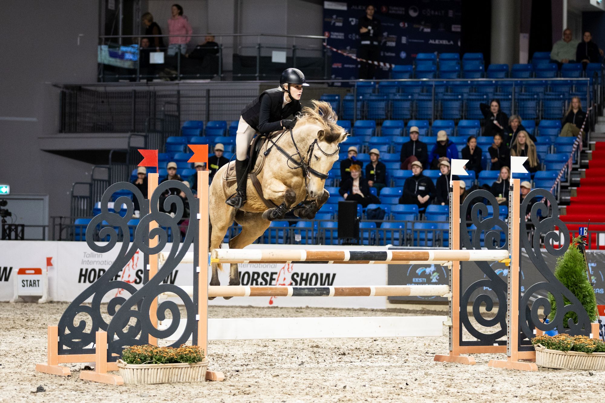Teist korda Tallinn Horse Show’l / erakogu Teist korda Tallinn Horse Show’l / erakogu