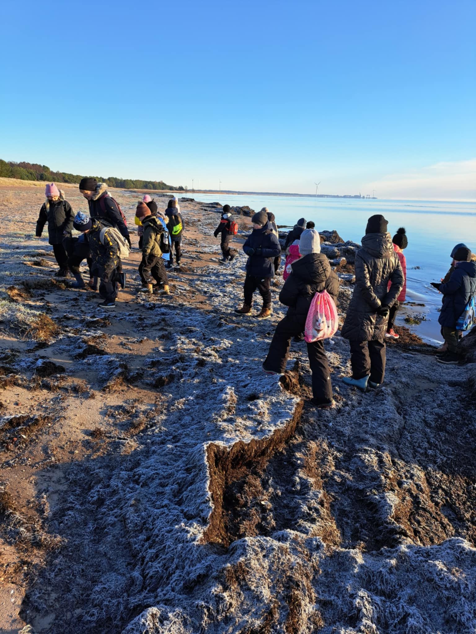 Jõulupuu lugu Mändjalas / Merle Tustit