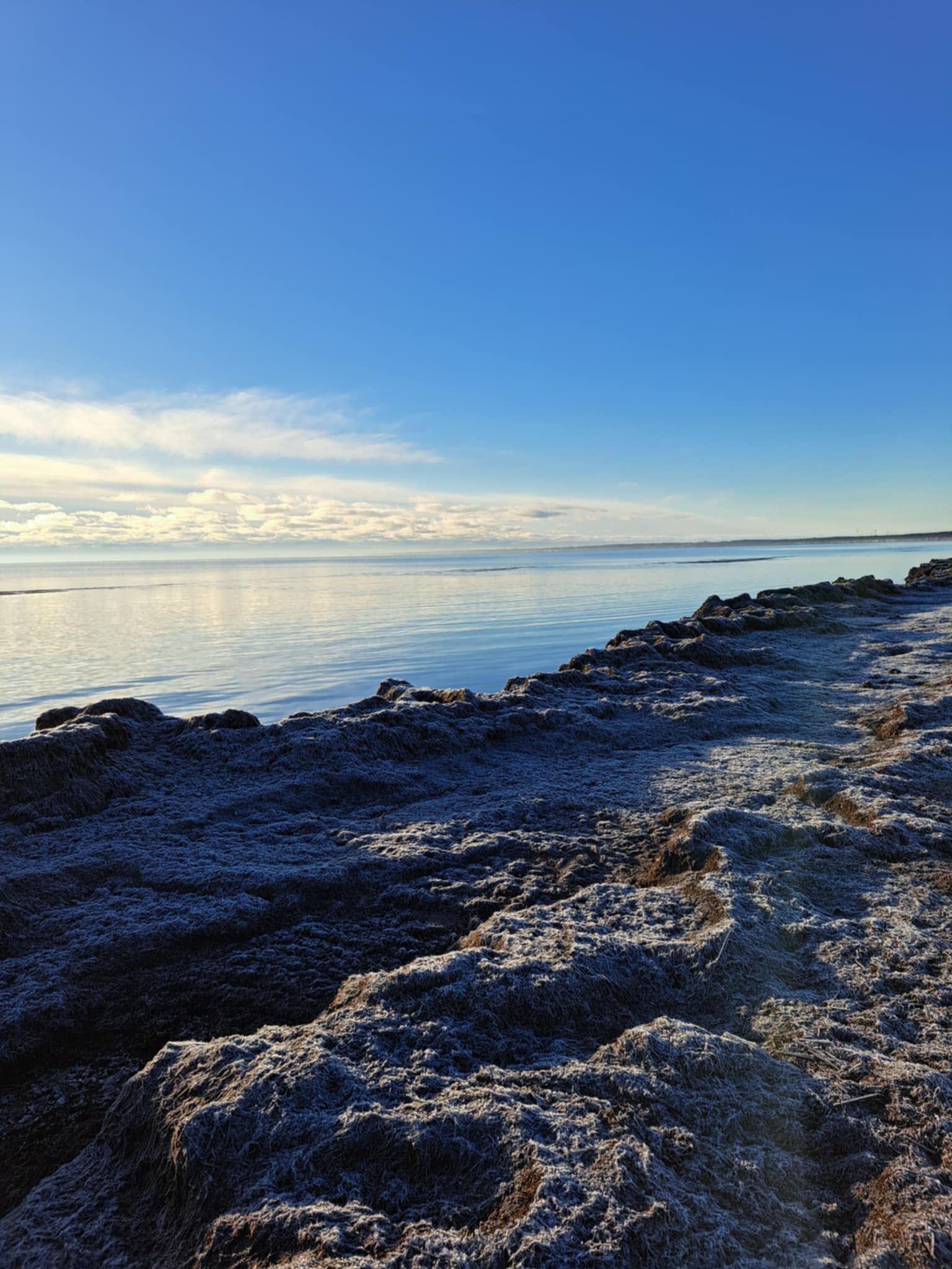 Jõulupuu lugu Mändjalas / Merle Tustit
