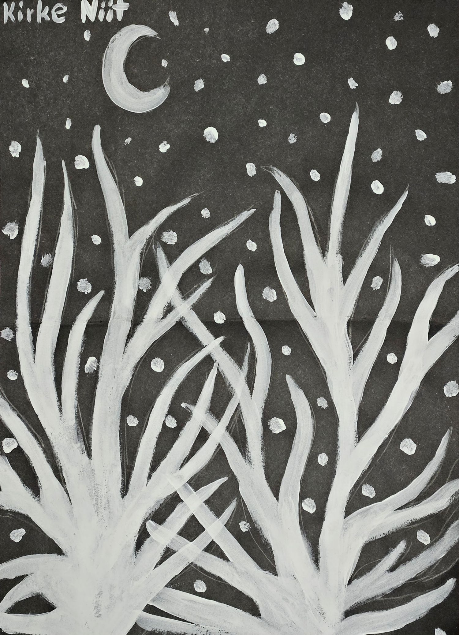 Talvine loodus / Kirke Niit