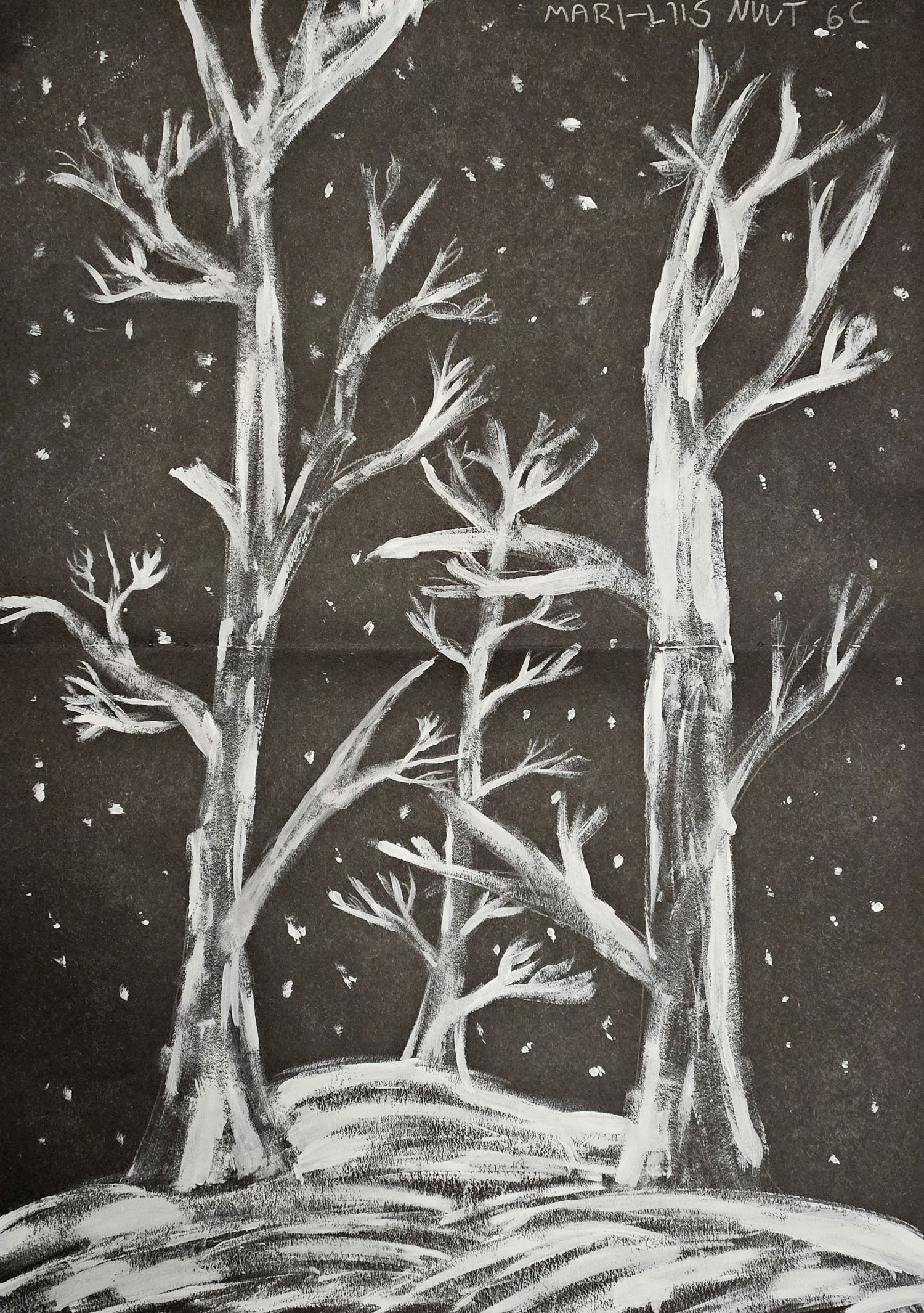 Talvine loodus / Mari-Liis Nuut