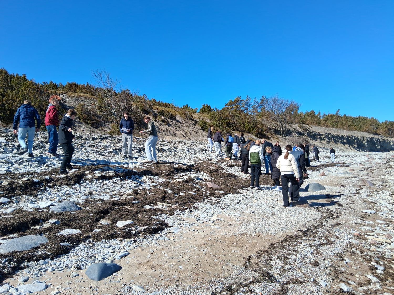 Õppekäik Saaremaa pankrannikutele / Eve Tuisk