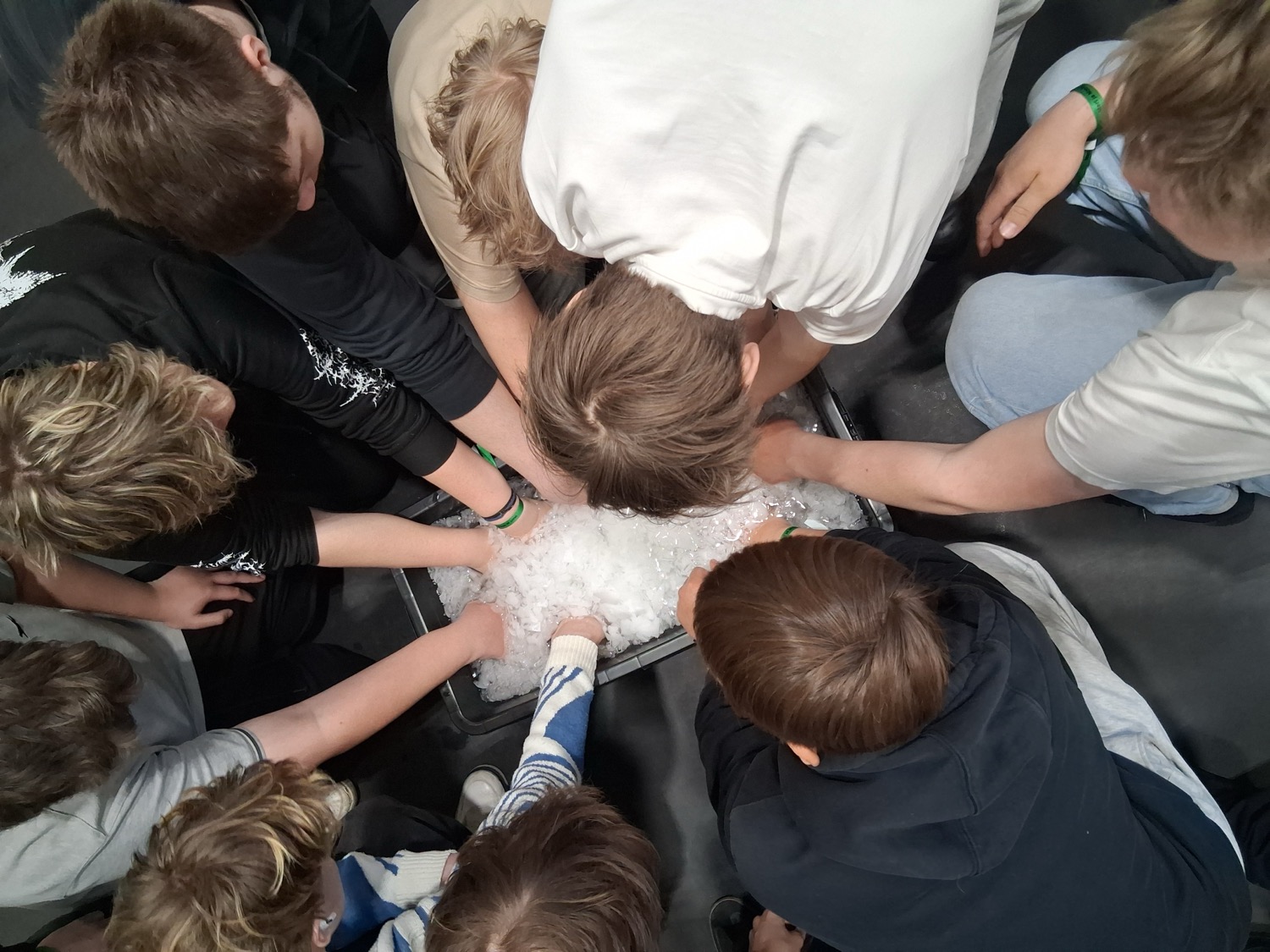 Mis juhtub, kui oled liiga kaua jääkülmas vees? / Eve Tuisk