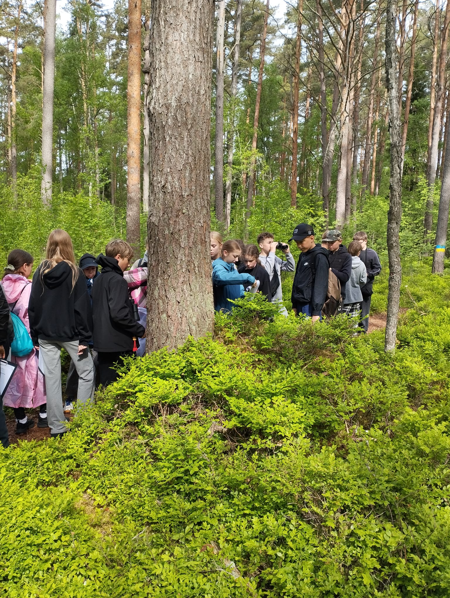 Kevadlaager kui lasteraamat / Kristin Lauri